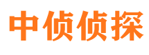 麻栗坡市侦探公司